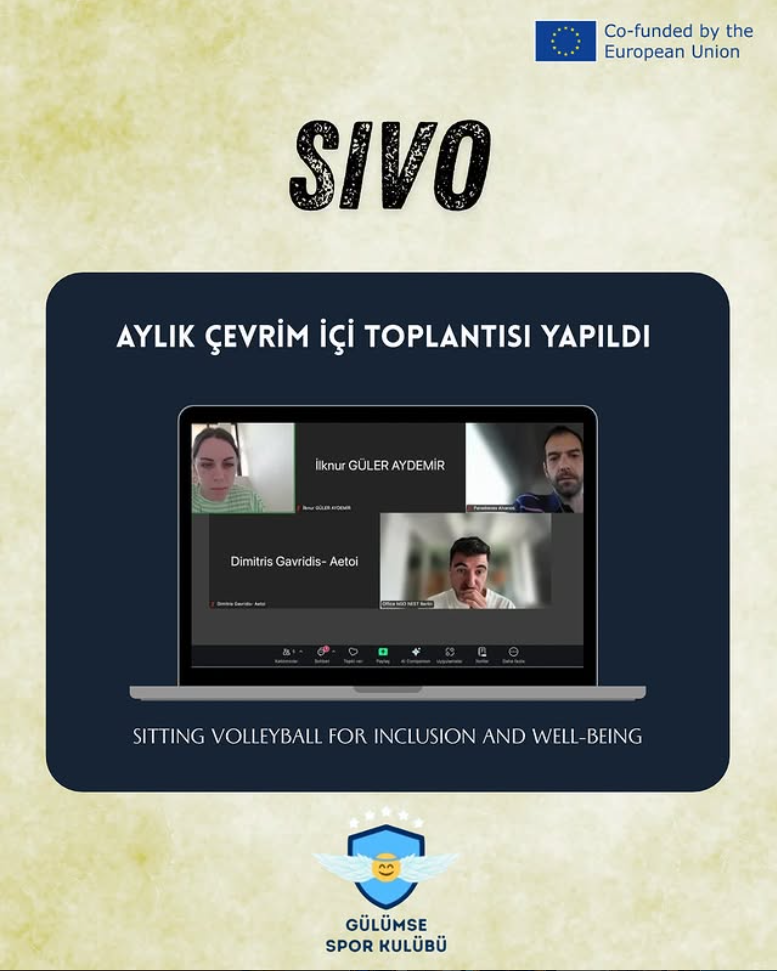 Monthly online meeting of the SIVO project was held